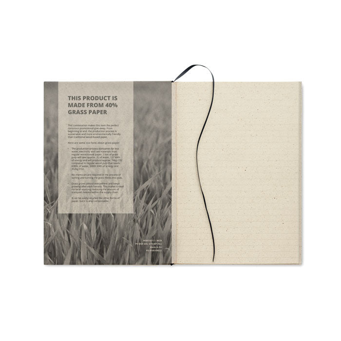 MO6542 - GRASS NOTES