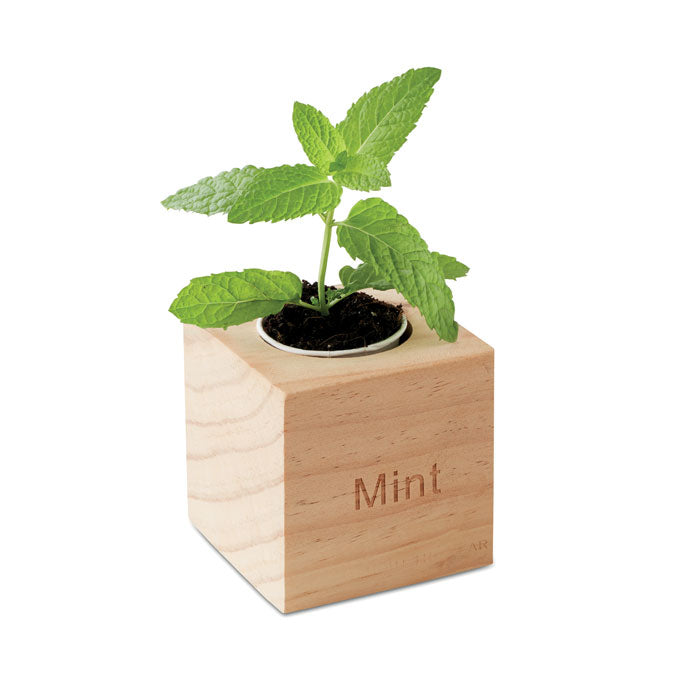 MO9337 - MENTA