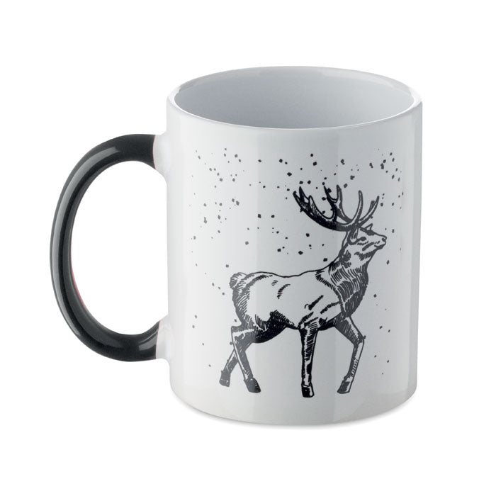 CX1571 - FESTIMUG