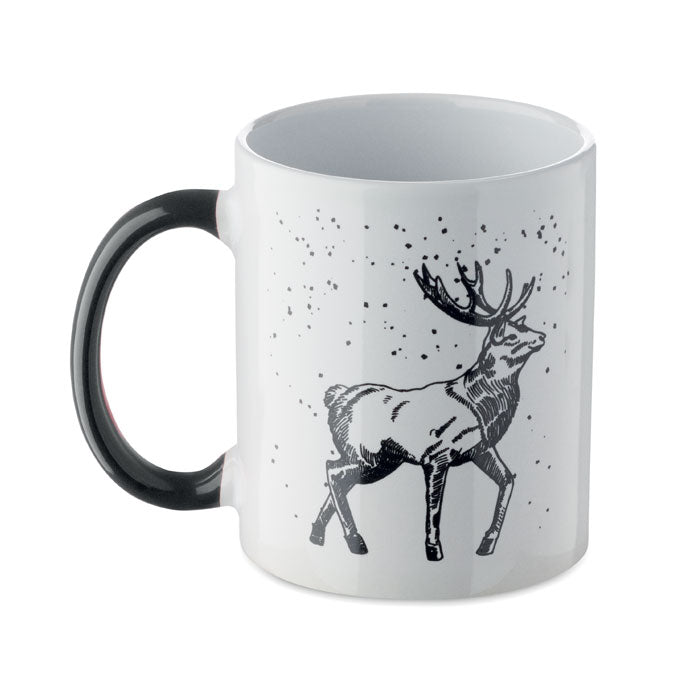 CX1571 - FESTIMUG
