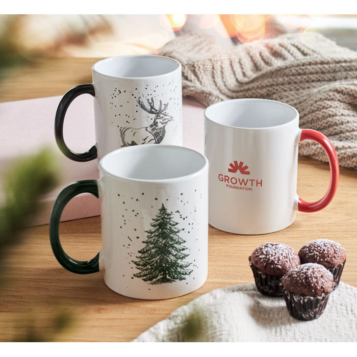 CX1571 - FESTIMUG