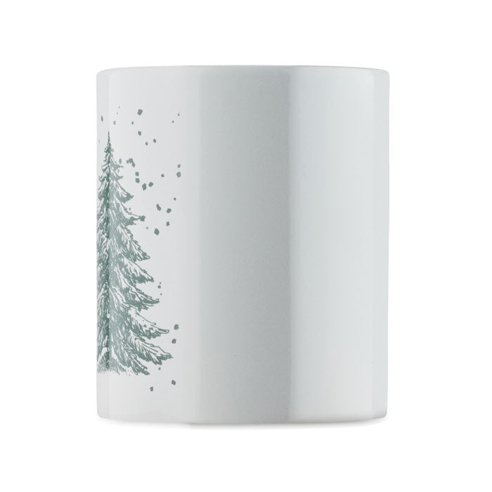 CX1571 - FESTIMUG
