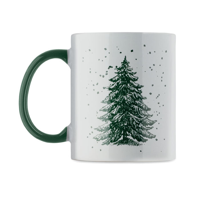 CX1571 - FESTIMUG