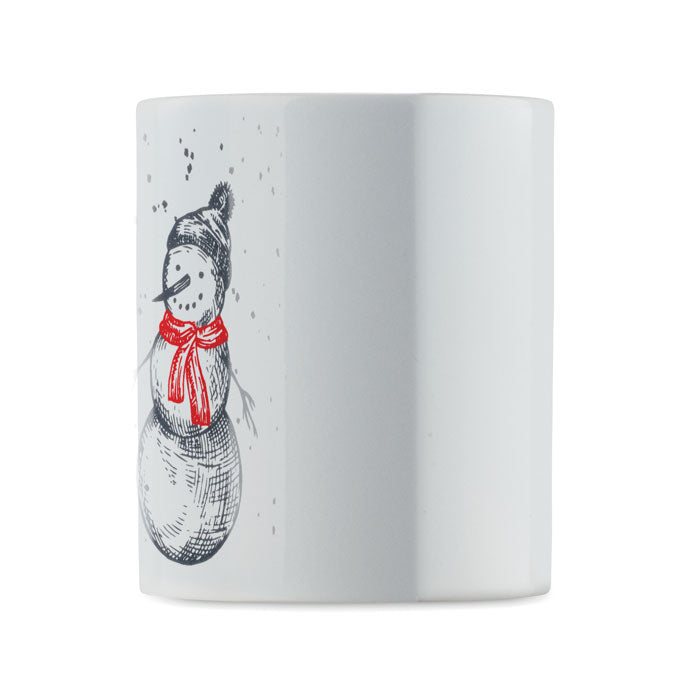 CX1571 - FESTIMUG