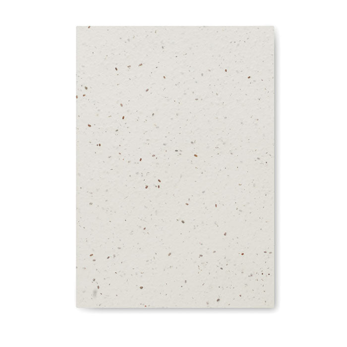 MO2082 - SEED BOOK