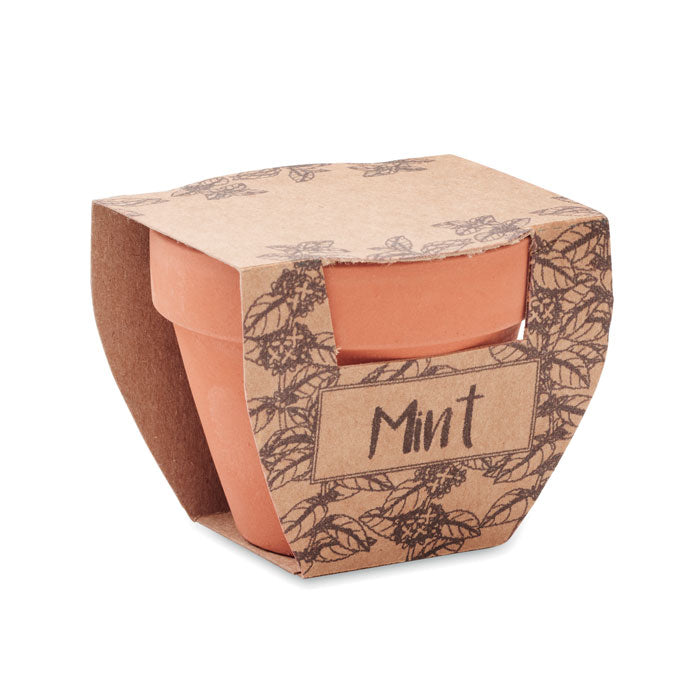 MO2218 - MINT POT