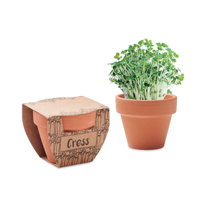 MO2219 - CRESS POT