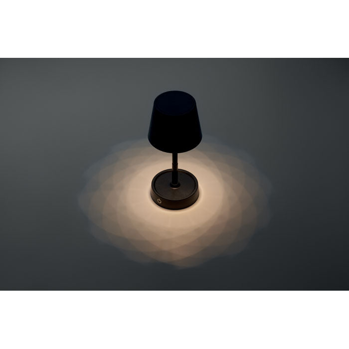 MO2339 - TAPLAMB