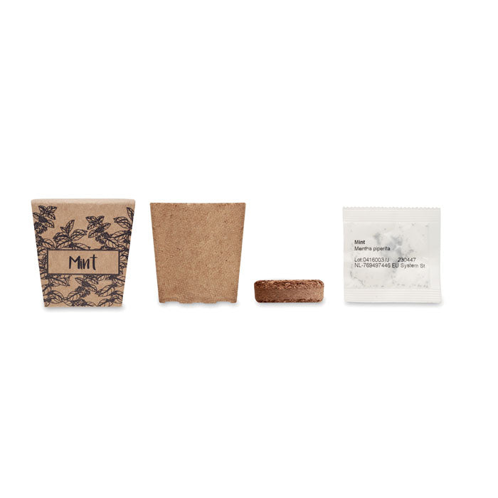 MO2410 - MINT KIT
