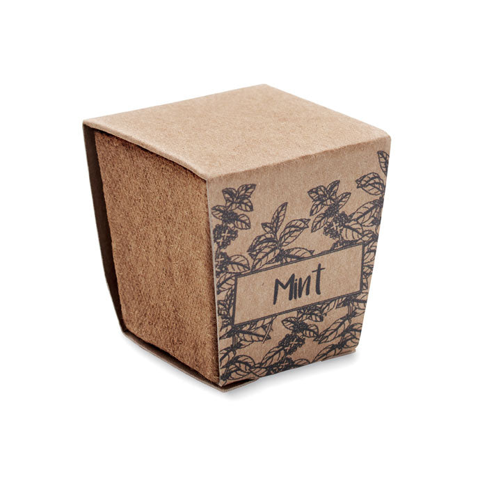 MO2410 - MINT KIT