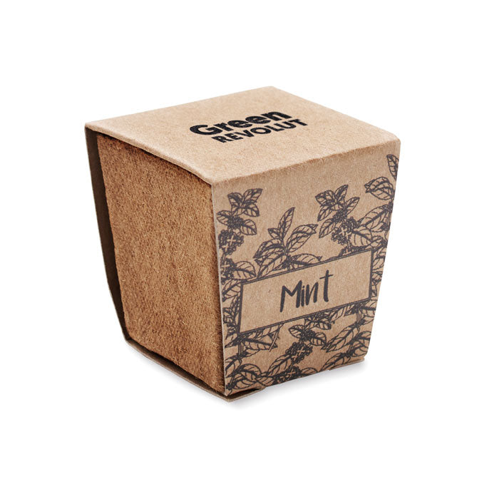 MO2410 - MINT KIT