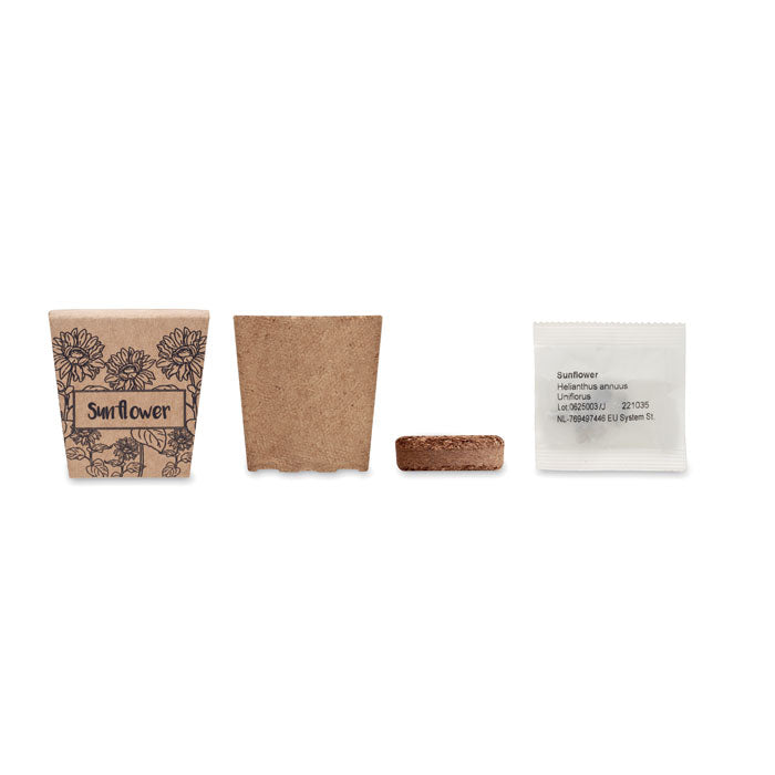 MO2411 - SUNFLOWER KIT