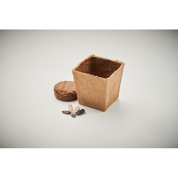 MO2411 - SUNFLOWER KIT