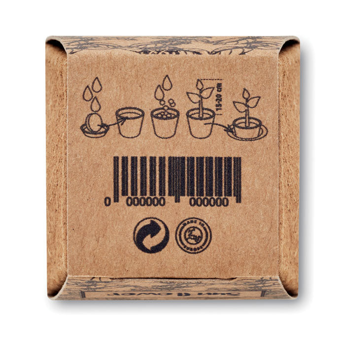 MO2411 - SUNFLOWER KIT