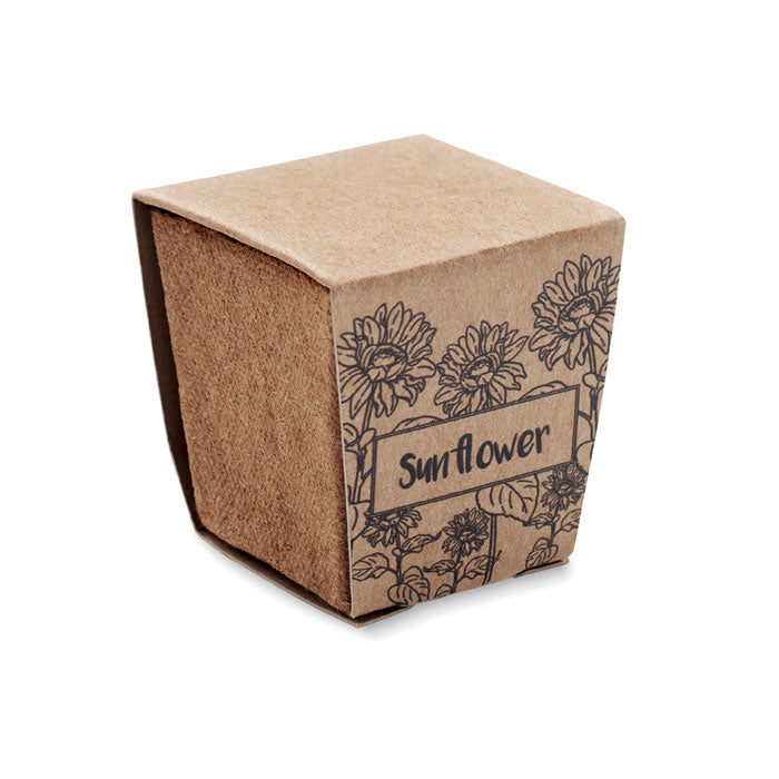 MO2411 - SUNFLOWER KIT