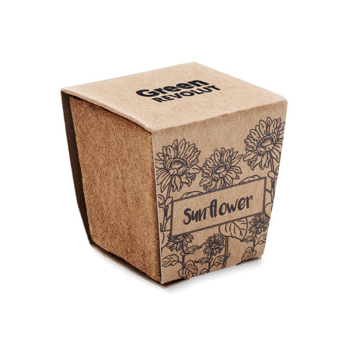 MO2411 - SUNFLOWER KIT