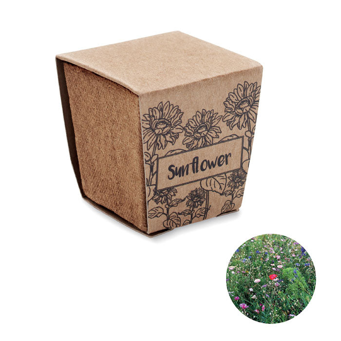 MO2411 - SUNFLOWER KIT