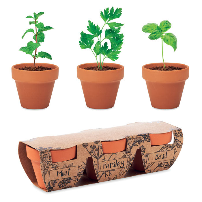 MO6145 - FLOWERPOT