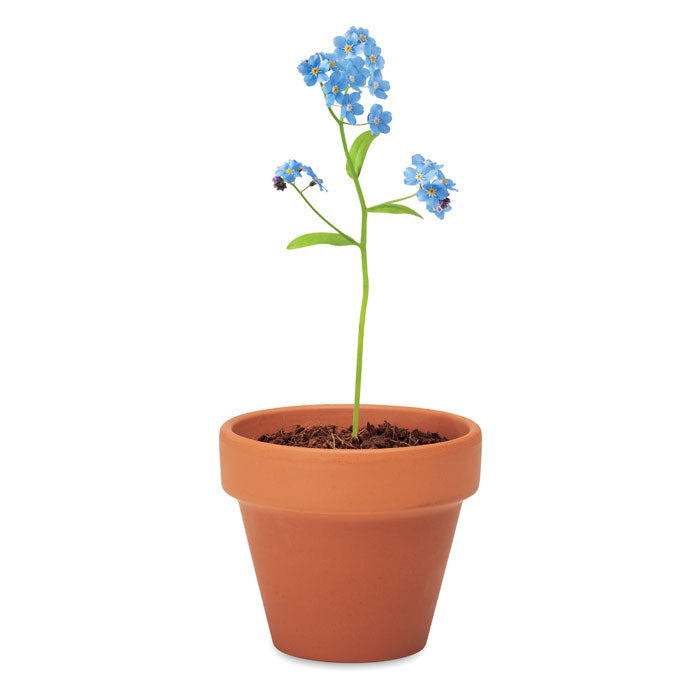 MO6146 - FORGET ME NOT
