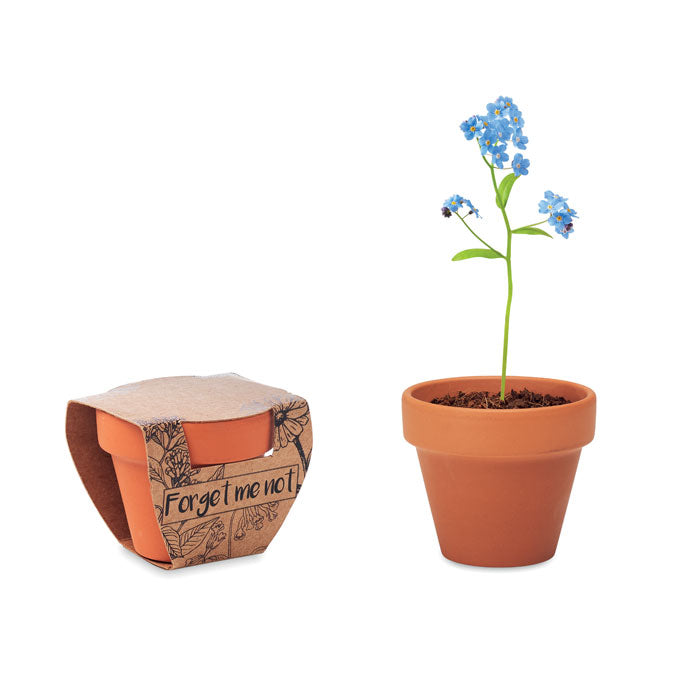 MO6146 - FORGET ME NOT
