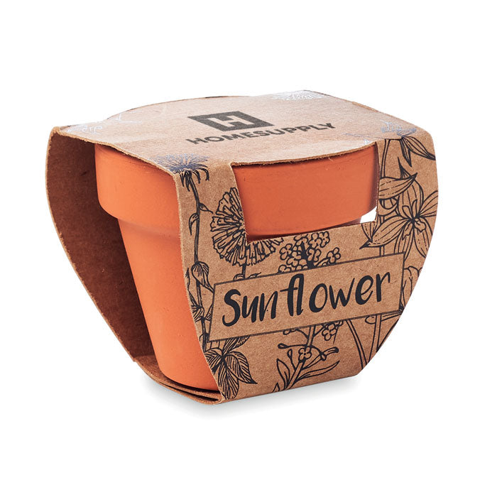 MO6147 - SUNFLOWER
