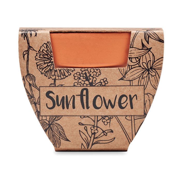 MO6147 - SUNFLOWER
