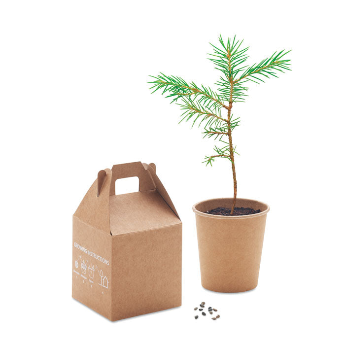 MO6228 - GROWTREE™