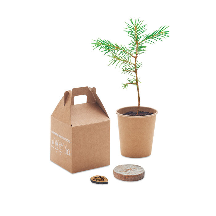 MO6228 - GROWTREE™