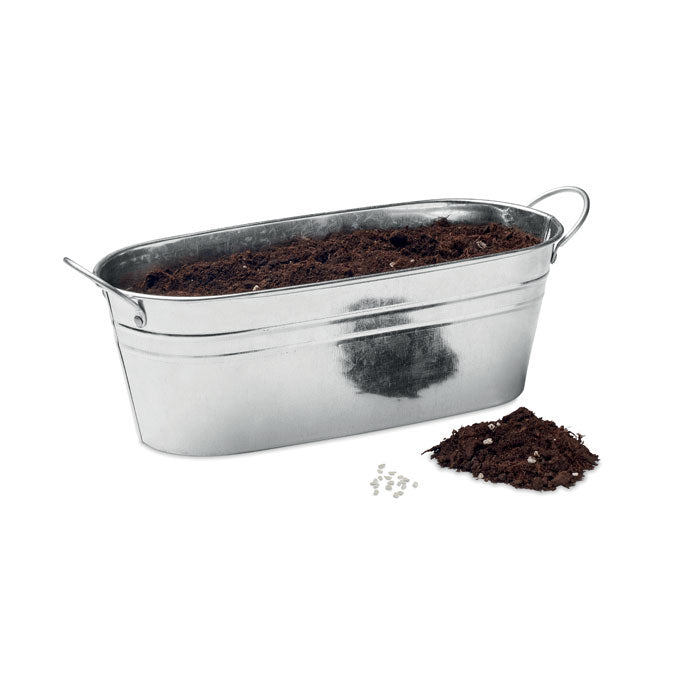 MO6497 - MIX SEEDS