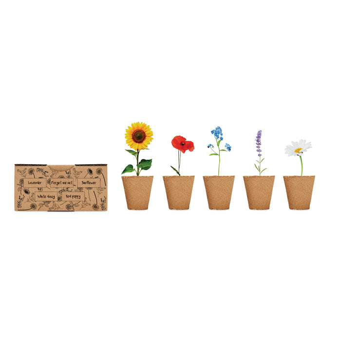 MO6500 - FLOWERS