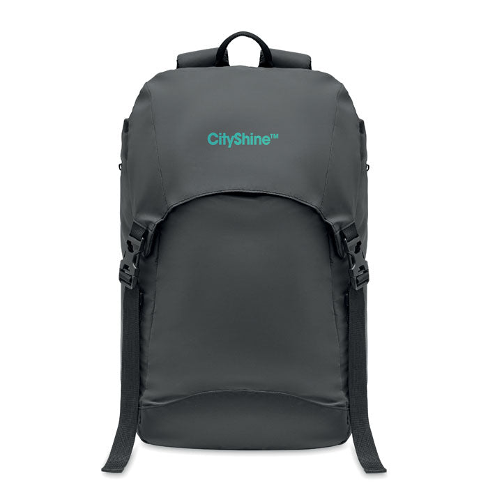 MO6995 - EIGER