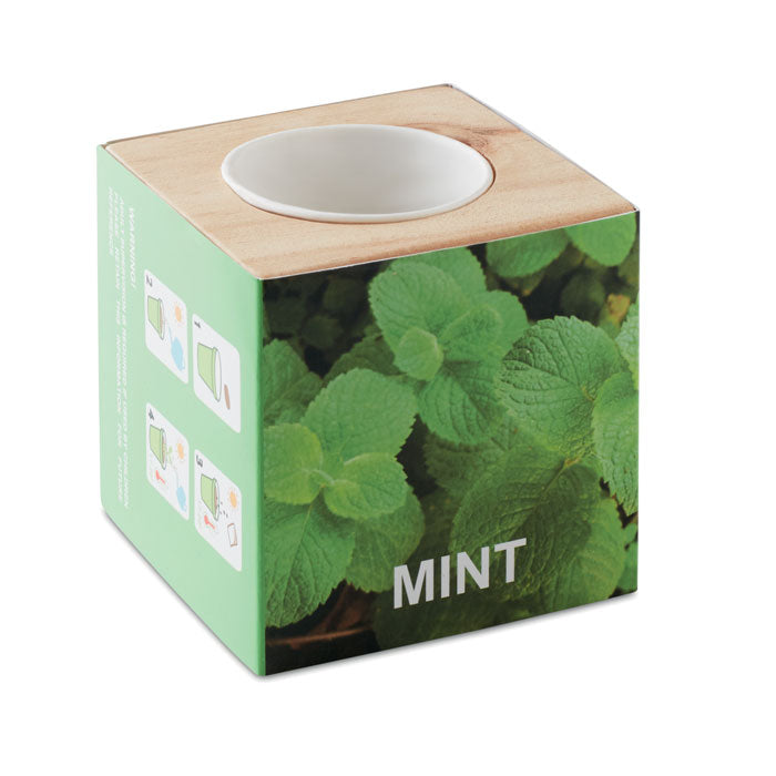 MO9337 - MENTA
