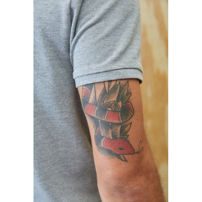 N03775 - LORIS