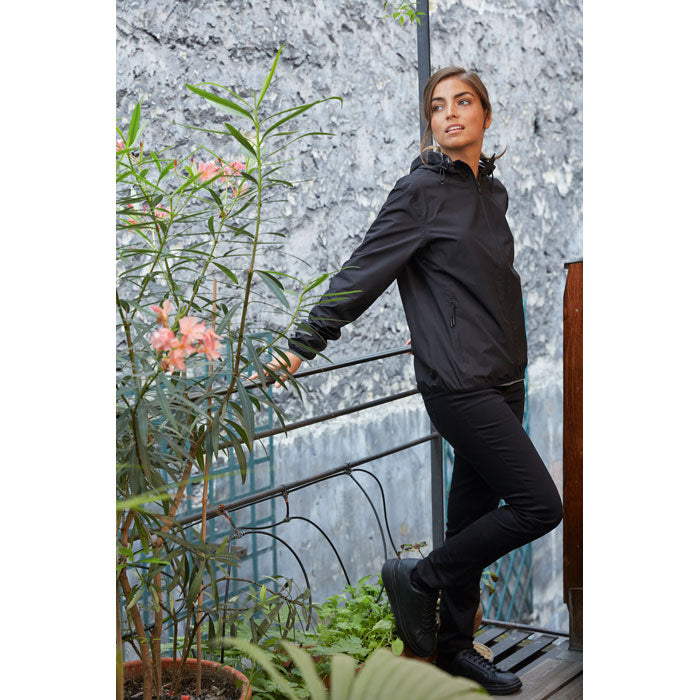 N03781 - ANDREA