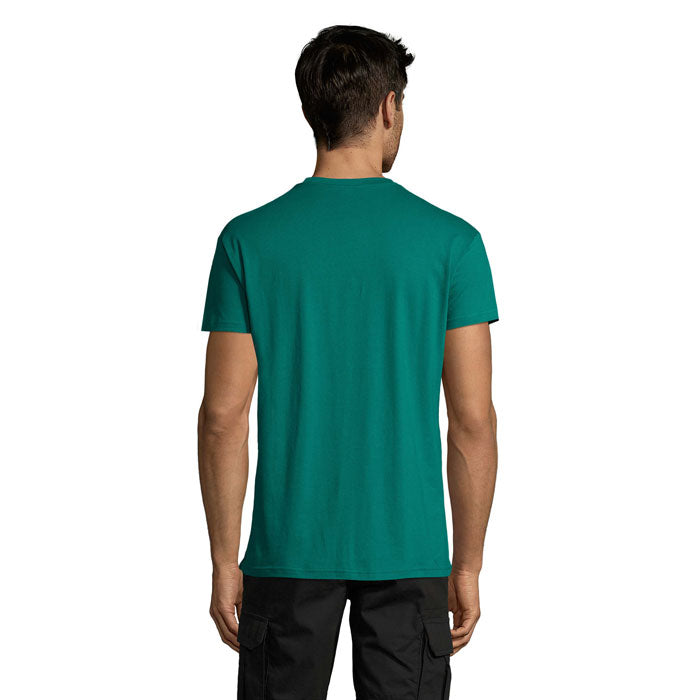 S11380 - REGENT - Part 2/4
